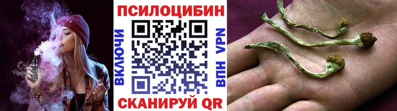Галлюциногенные грибы мицелий купить Перевоз